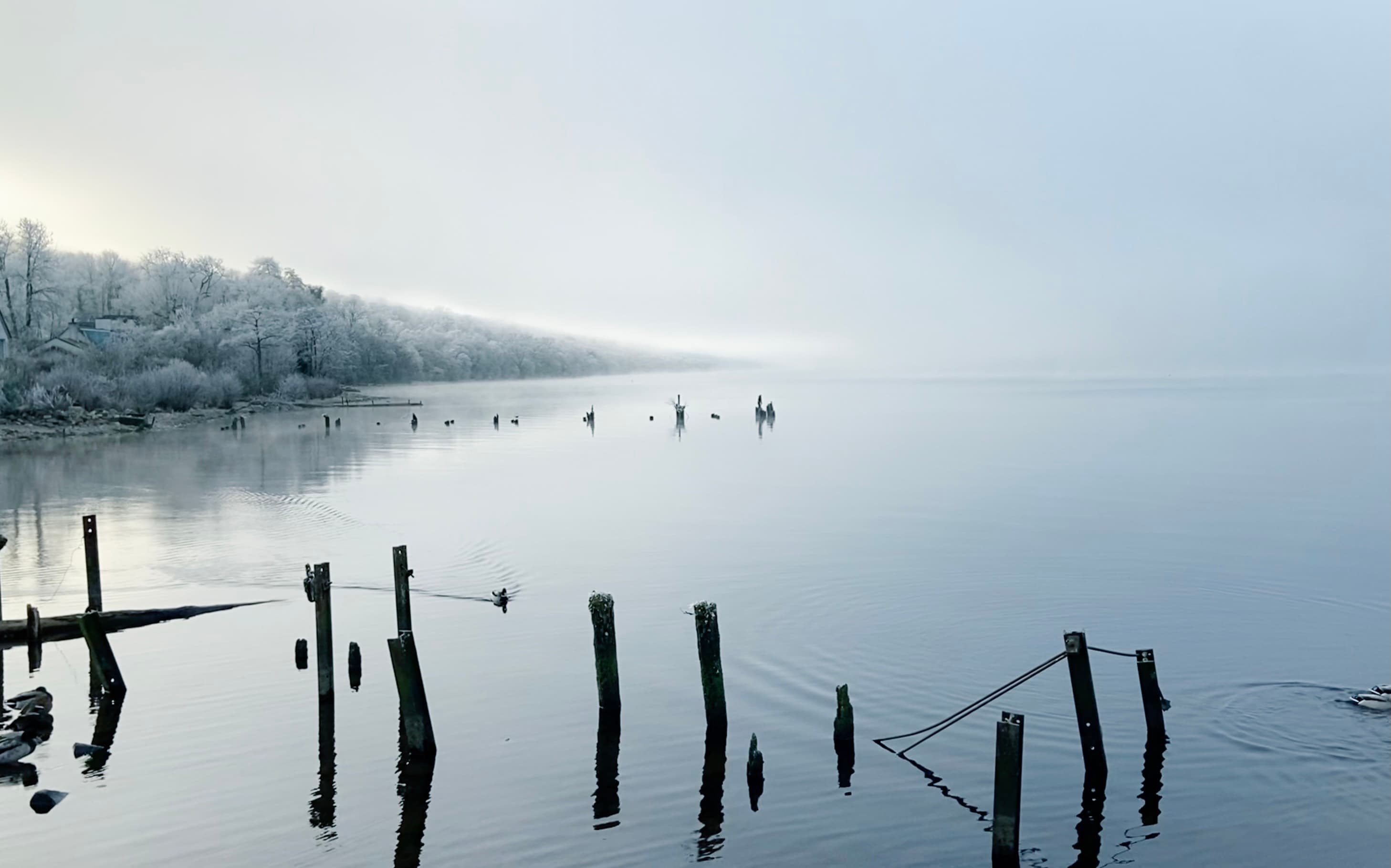 Snow gates Scotland winter
